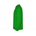 Рубашка поло Estrella мужская с длинным рукавом, травянисто-зеленый
